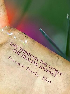 cover image of Life Through the Storm ~The Healing Journey